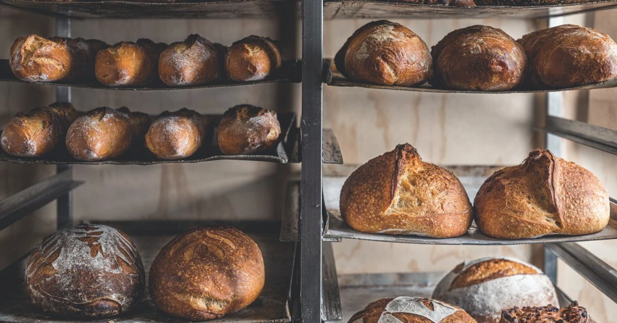 Mastering the Essential Art of Bread Proofing Two bakery racks hold rows of golden-brown artisan bread loaves cooling on dark metal trays after baking.
