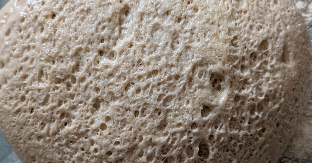 A bubbly sourdough starter has airy holes and a thick texture as it rests in a container during fermentation