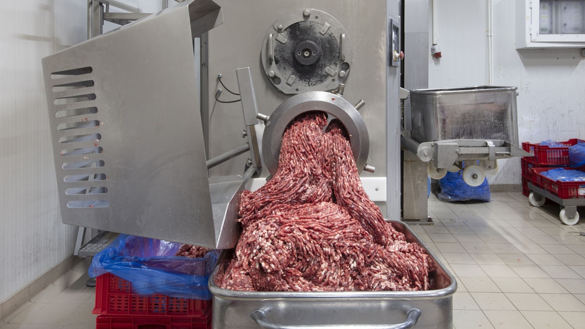 4 Eye-Opening Benefits of a Professional Meat Grinder - Pro