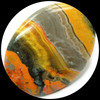 Bumble Bee Jasper