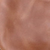 Beige Oil Tanned