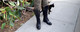 Tall Black Leather Boots - Made to Order-