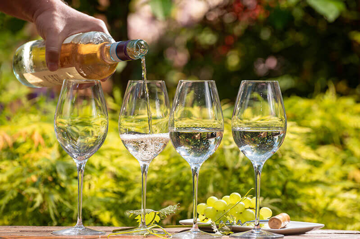 All About Pinot Grigio All About Pinot Grigio