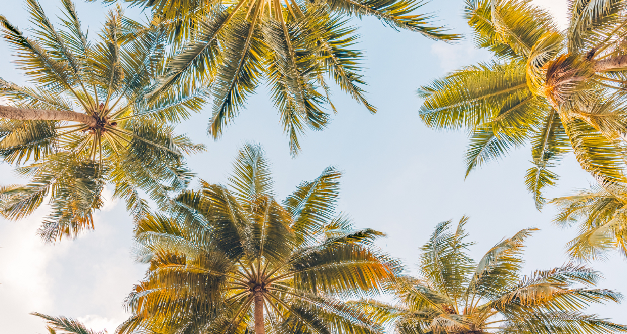 Cocktails & Coastlines: Florida Beaches You Can Drink At Cocktails & Coastlines: Florida Beaches You Can Drink At