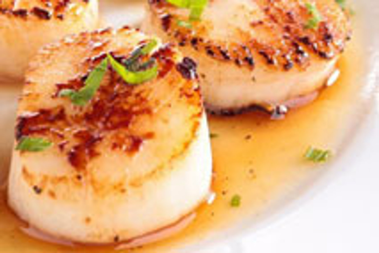 Buttery Scallops in White Wine Sauce Buttery Scallops in White Wine Sauce
