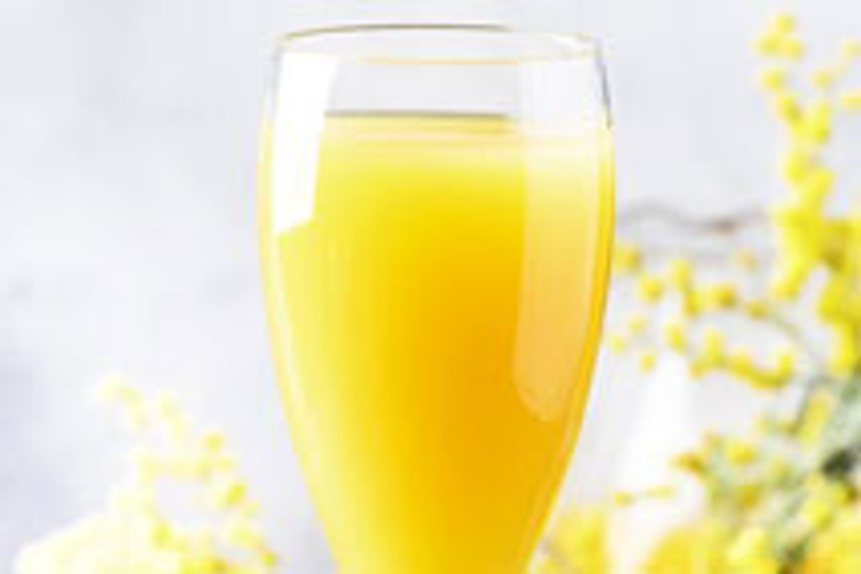 Mimosa Mimosa