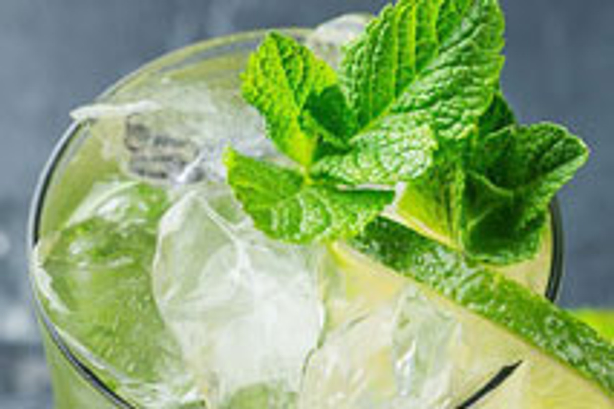 Mojito Mojito