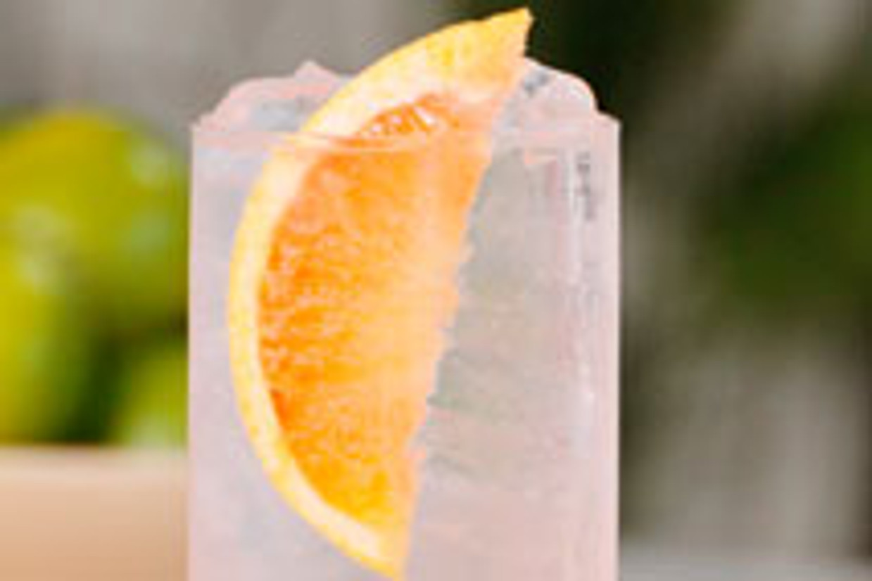 Paloma Paloma