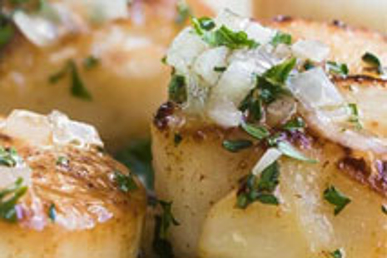 Seared Scallops Seared Scallops