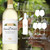 Chateau Ste Michelle Sauvignon Blanc - 750 mL - 750ML - Glass