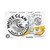 White Claw Mango - 12 Oz - 12-PK - Aluminum