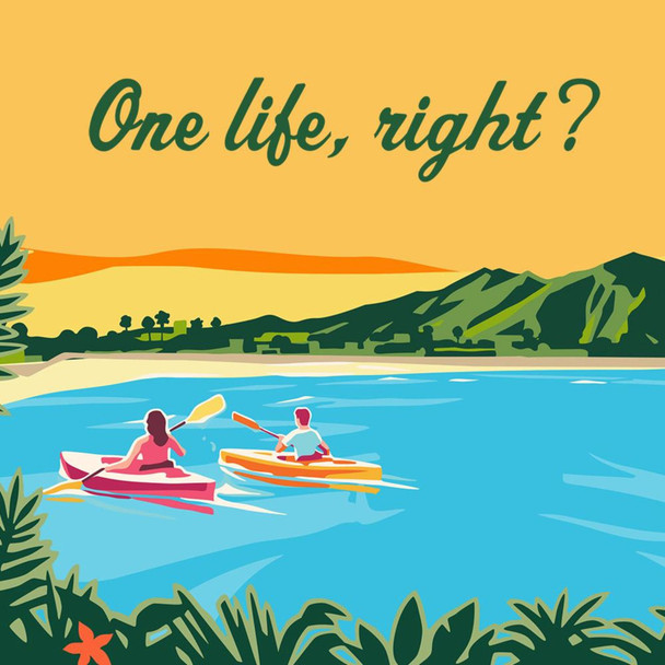 Kona Island Hopper Variety Pack - 12 Oz - 12-PK - Glass