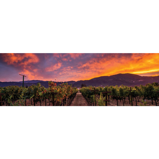 Sequoia Grove Cabernet Sauvignon - 750 mL - 750ML - Glass