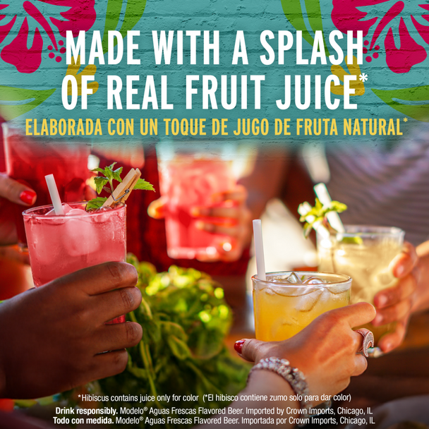 Modelo Aguas Frescas - 12-PK - Aluminum