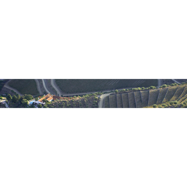 Taylor Fladgate LBV - 750 mL - 750ML - Glass