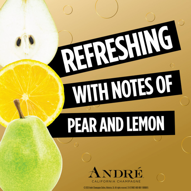 Andre Brut Champagne - 750 mL - 750ML - Glass