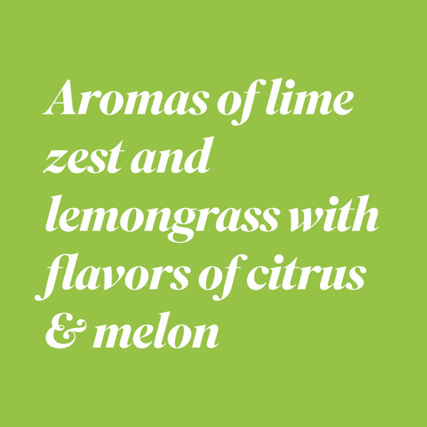 Bota Box Sauvignon Blanc - 3.0 L - 3.0L - Cardboard