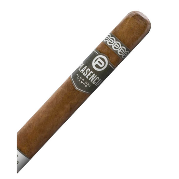 Plasencia Alma del Campo Sendero - 1 Stick - Each