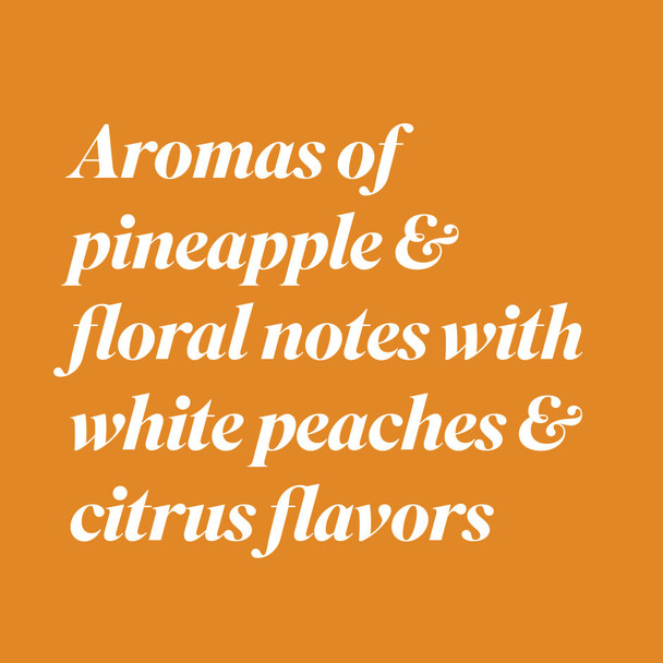 Bota Box Pinot Grigio - 3.0 L - 3.0L - Cardboard