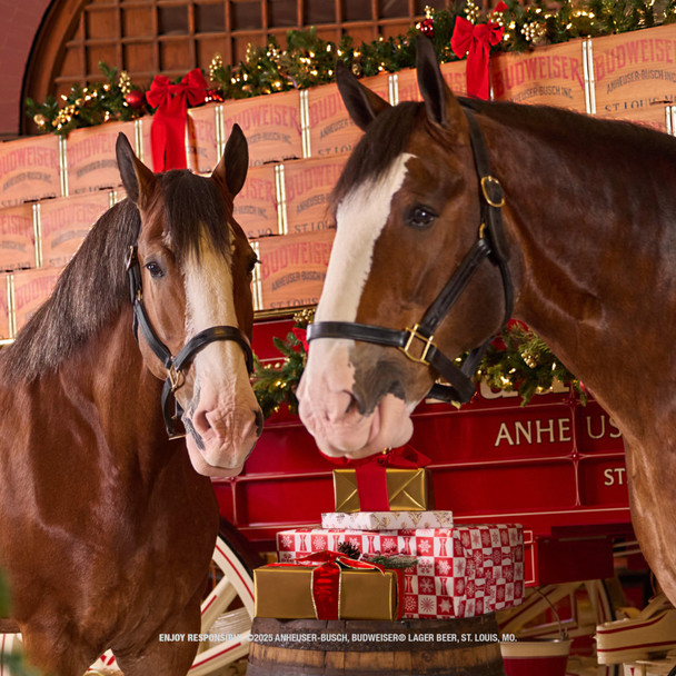 Budweiser Zero - 6-PK - Glass