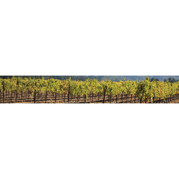 St Francis Merlot - 750 mL - 750ML - Glass