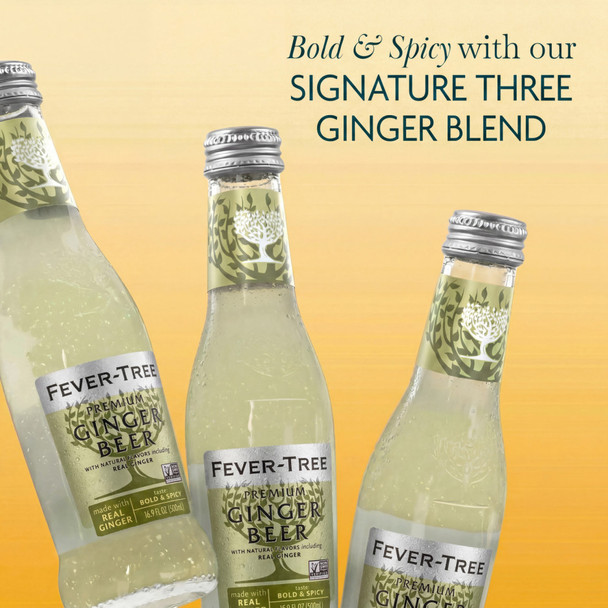 Fever-Tree Premium Ginger Beer - 16.9 Oz - 16.9Z