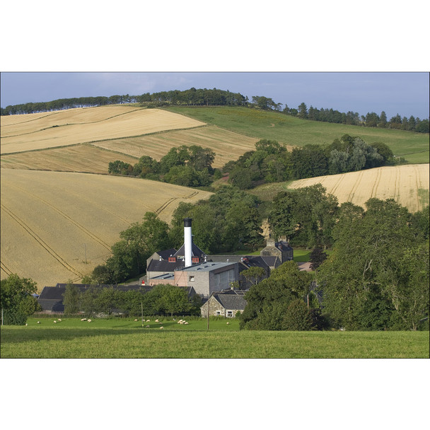 Glendronach Revival 15 Year Scotch - 700 mL - 700ML - Glass