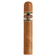 Quorum Shade Robusto - Box