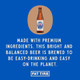New Belgium Fat Tire - 12 Oz - 12-PK - Glass