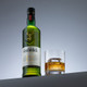 Glenfiddich 12 Year Old Single Malt Scotch Whisky - 750 mL - 750ML - Glass