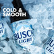 Busch Latte' - 15-PK - Aluminum Busch Latte' - 15-PK - Aluminum