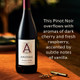 Apothic Pinot Noir - 750 mL - 750ML - Glass