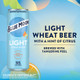 Blue Moon Light - 12 Oz - 6-PK - Aluminum