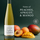 Chateau Ste Michelle Harvest Select Sweet Riesling - 750 mL - 750ML - Glass