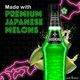 Midori Melon Liqueur - 750 mL - 750ML - Glass