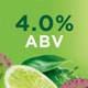 Michelob Ultra Infusions Lime & Prickly Pear Cactus - 12 Oz - 12-PK - Aluminum