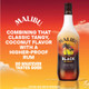 Malibu Black Caribbean Rum with Coconut Flavored Liqueur - 750 mL - 750ML - Glass