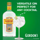 Gordon's London Dry Gin - 1.75 L - 1.75L - Glass