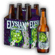 Elysian Space Dust IPA - 12 Oz - 6-PK - Glass