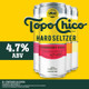 Topo Chico Hard Seltzer Variety - 12-PK - Aluminum