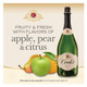 Cook's Brut Champagne - 1.5 L - 1.5L - Glass