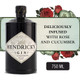 Hendrick's Gin - 750 mL - 750ML - Glass