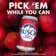 Busch Light Apple - 12 Oz - 24-PK - Aluminum