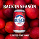 Busch Light Apple - 12 Oz - 12-PK - Aluminum