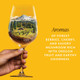 Erath Pinot Noir - 750 mL - 750ML - Glass