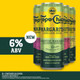 Topo Chico Margarita Hard Seltzer Variety #1 - 12-PK - Aluminum