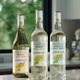 Yellow Tail Pure Bright Chardonnay - 1.5 L - 1.5L - Glass