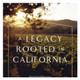 Robert Mondavi Private Selection Cabernet Sauvignon - 750 mL - 750ML - Glass