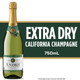 Andre Extra Dry Brut Champagne - 750 mL - 750ML - Glass