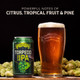 Sierra Nevada Torpedo Extra IPA - 12 Oz - 12-PK - Aluminum